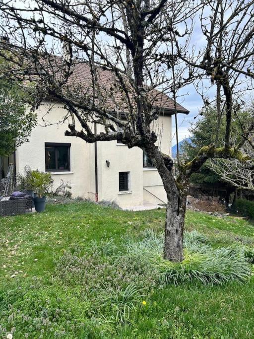 Appartement 3 Chambres A Annecy Dans Maison Pour 2 A 8 Personnes Dış mekan fotoğraf